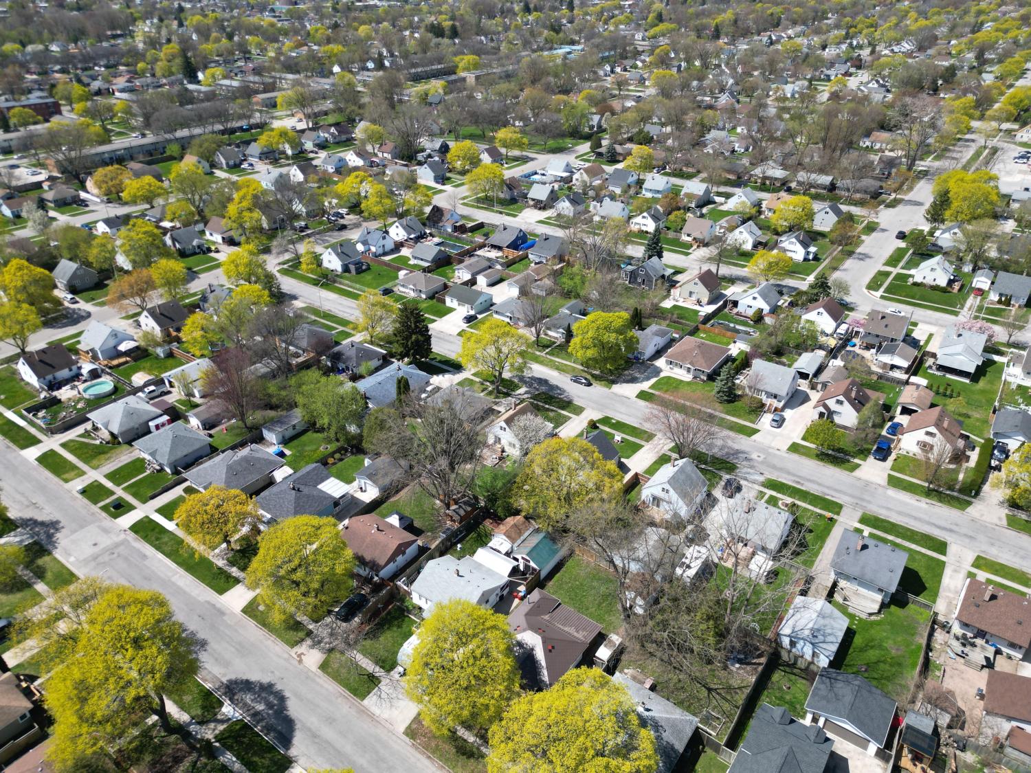 Tree Streets